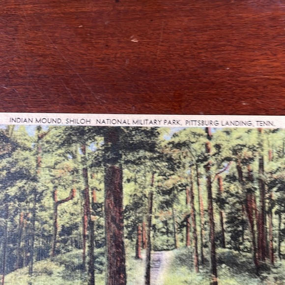 Vintage Linen Postcards of Shiloh National Park - Picture 5 of 8